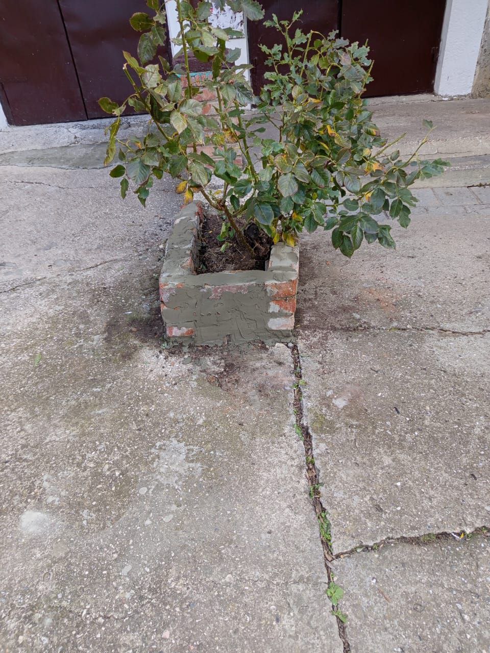 Олег Каторгин: В многоквартирных домах Керчи по согласованию с жителями управляющие компании ведут различные виды ремонтных работ Олег Каторгин: В многоквартирных домах Керчи по согласованию с жителями управляющие компании ведут различные виды ремонтных работ