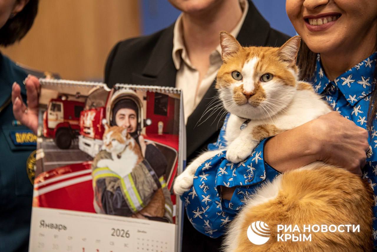 Прощай, октябрь! Пора подводить итоги: Прощай, октябрь! Пора подводить итоги: