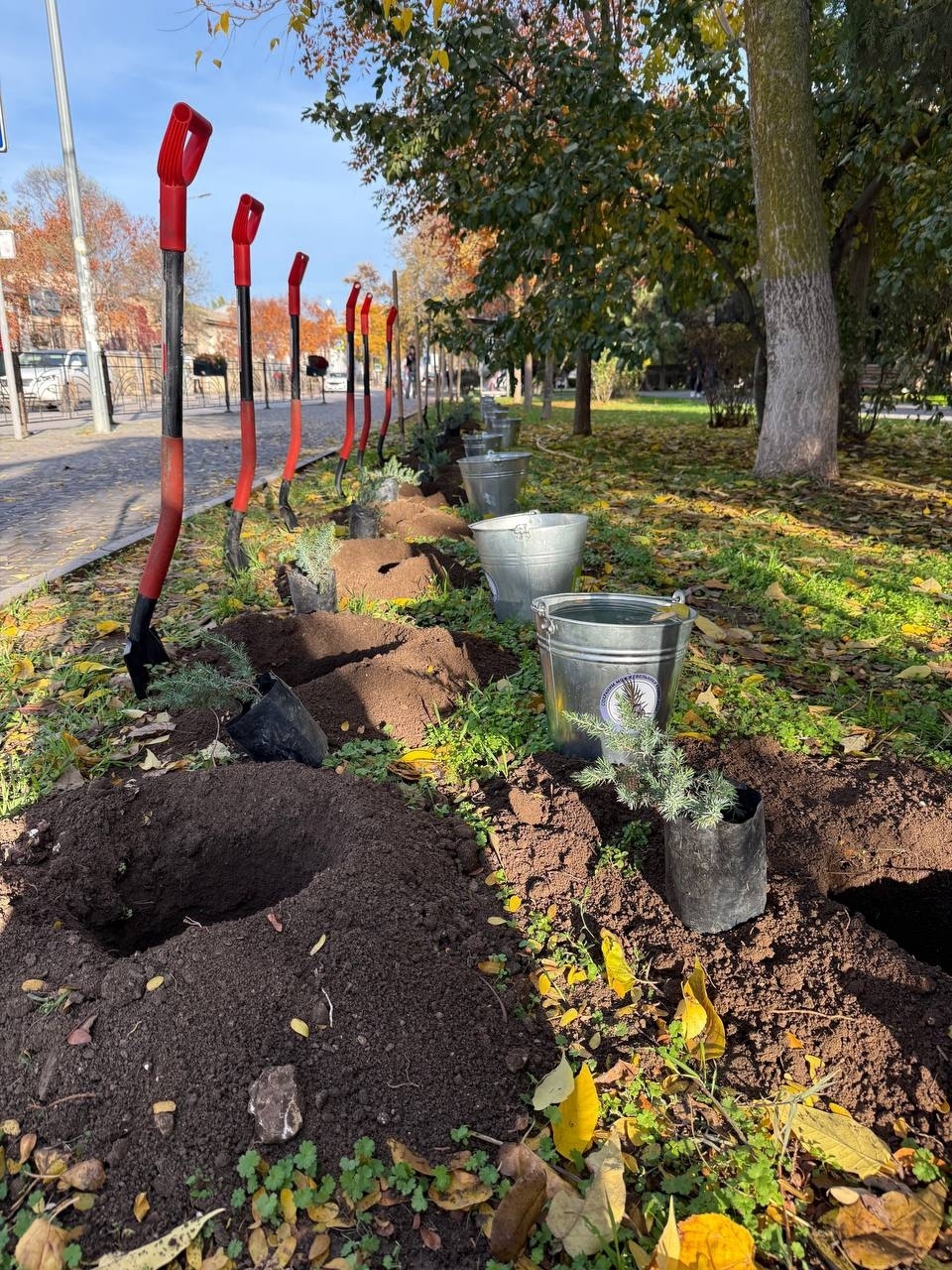 Члены школьных лесничеств Республики Крым приняли участие в семинаре «Сохраним можжевельники Крыма» в Евпатории Члены школьных лесничеств Республики Крым приняли участие в семинаре «Сохраним можжевельники Крыма» в Евпатории