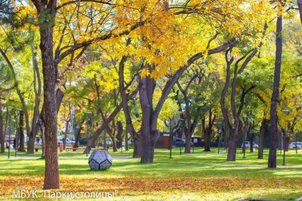 Яркие осенние краски в парках Симферополя