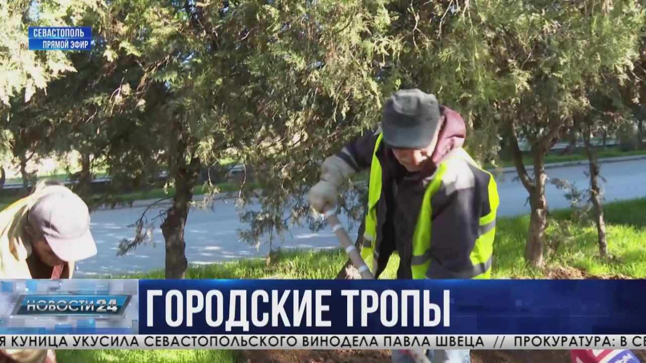 Удобство и прочность. Сколько пешеходных зон отремонтировали за год в городе-герое?