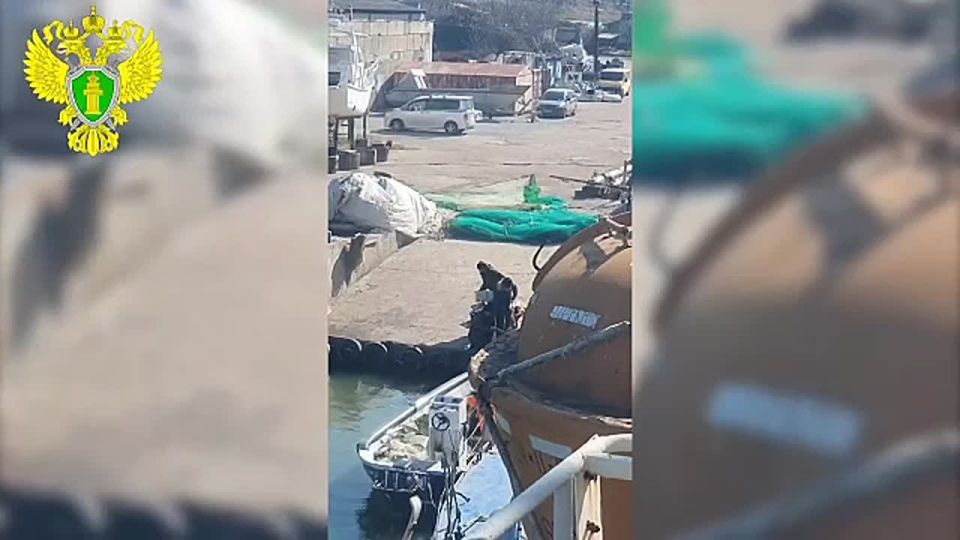 Ущерб на 7 миллионов: четверо севастопольцев незаконно добывали кефаль в огромных количествах