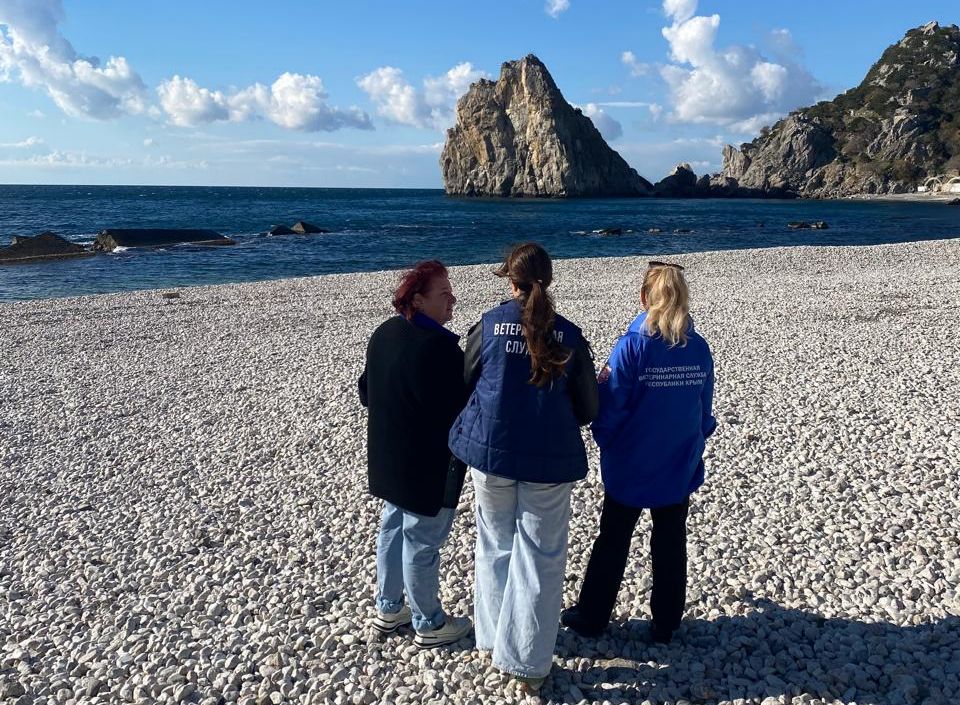 Специалистами Южнобережного отдела ветеринарии и контроля совместно с сотрудниками ГБУ РК «Ялтинский городской ВЛПЦ» проведено обследование подконтрольной территории Специалистами Южнобережного отдела ветеринарии и контроля совместно с сотрудниками ГБУ РК «Ялтинский городской ВЛПЦ» проведено обследование подконтрольной территории