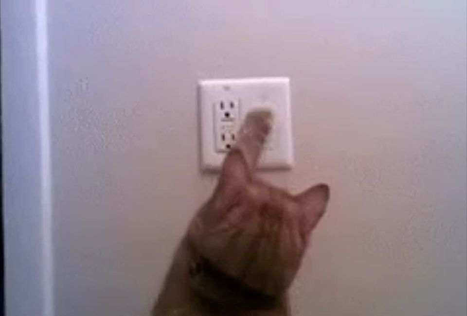 Феодосия частично обесточена из-за аварии