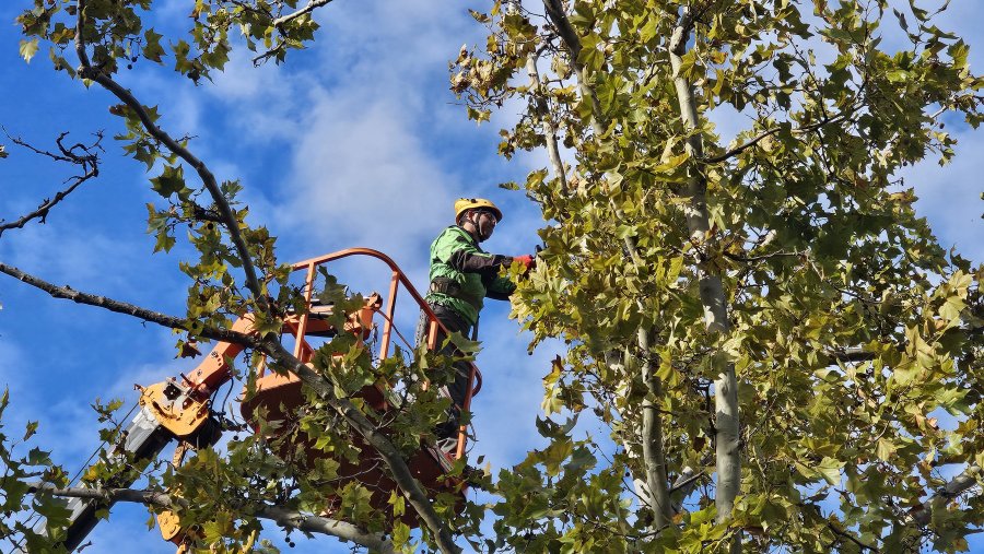 Коммунальщики готовятся к сезону ветров