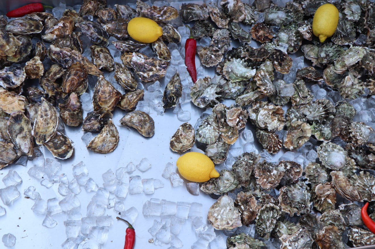 В преддверии длинных ноябрьских выходных решили вдохновить вас 10 причинами, почему стоит приехать в Крым В преддверии длинных ноябрьских выходных решили вдохновить вас 10 причинами, почему стоит приехать в Крым