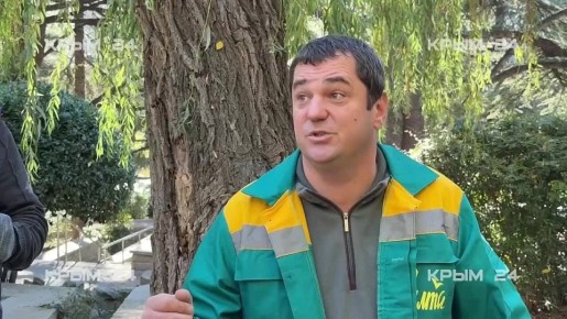 На общественных территориях Ялтинского округа высадят больше 1000 деревьев и кустарников