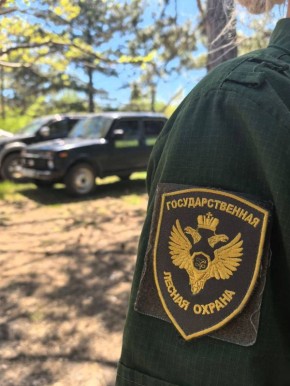 В Севастополе 3 ноября официально завершается пожароопасный сезон