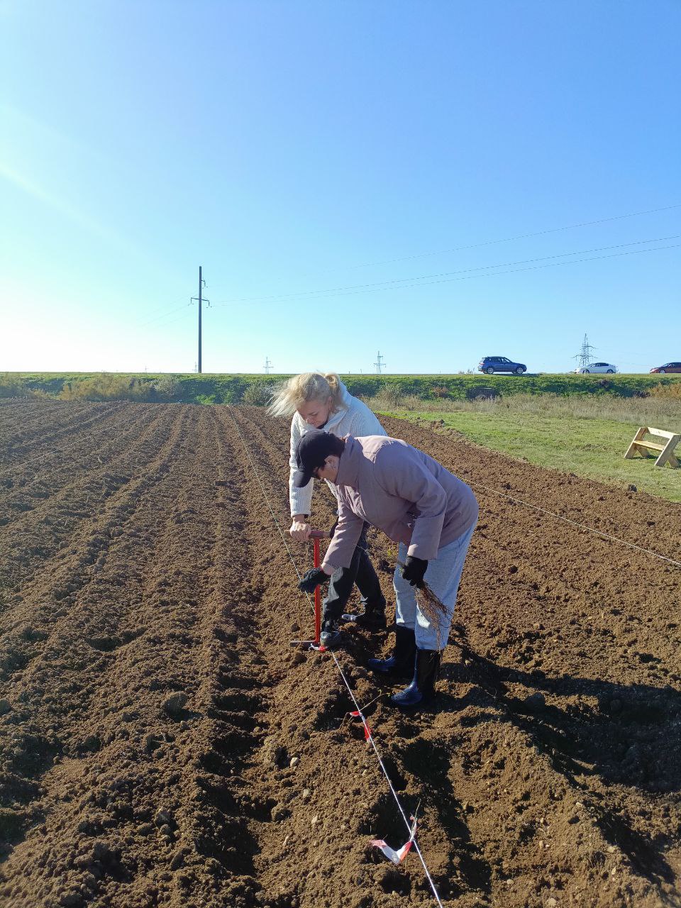 Представители Регионального проектного офиса Крыма приняли участие во Всероссийской акции «Сохраним лес» Представители Регионального проектного офиса Крыма приняли участие во Всероссийской акции «Сохраним лес»