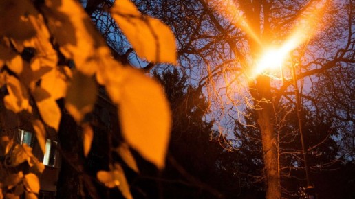 От рассвета до заката: один день в ноябрьском парке в Крыму