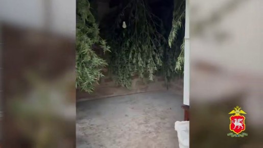 Крымчанин попался на хранении 21 килограмма марихуаны якобы для лечения рака