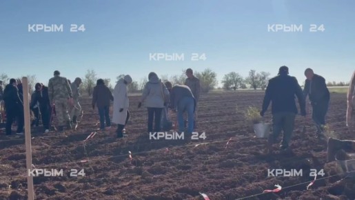 В Крыму стартовал седьмой сезон Всероссийской акции «Сохраним лес»