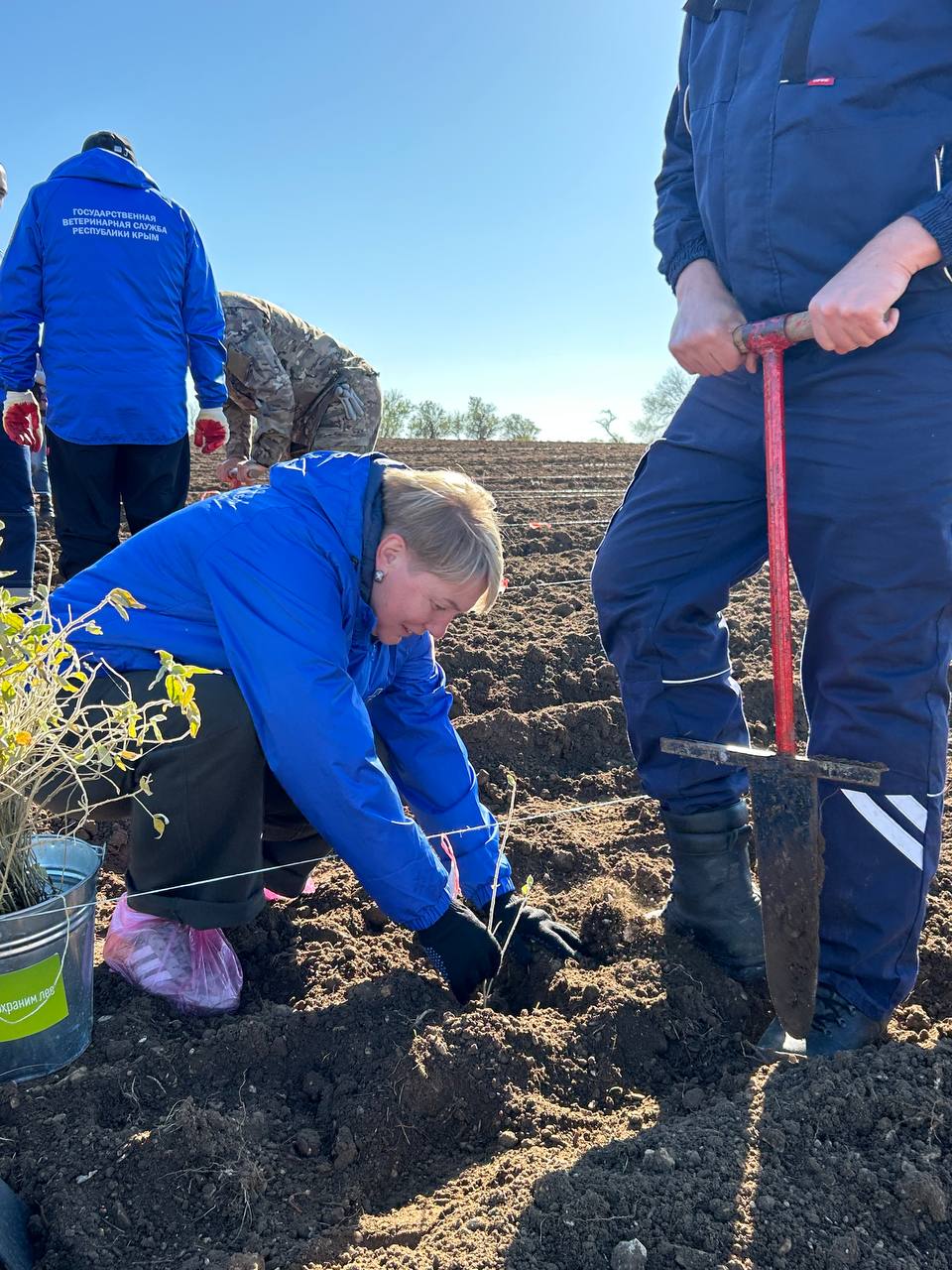 В Крыму стартовала акция «Сохраним лес» В Крыму стартовала акция «Сохраним лес»