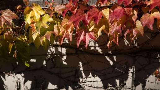 Погода в Крыму в первый день ноября