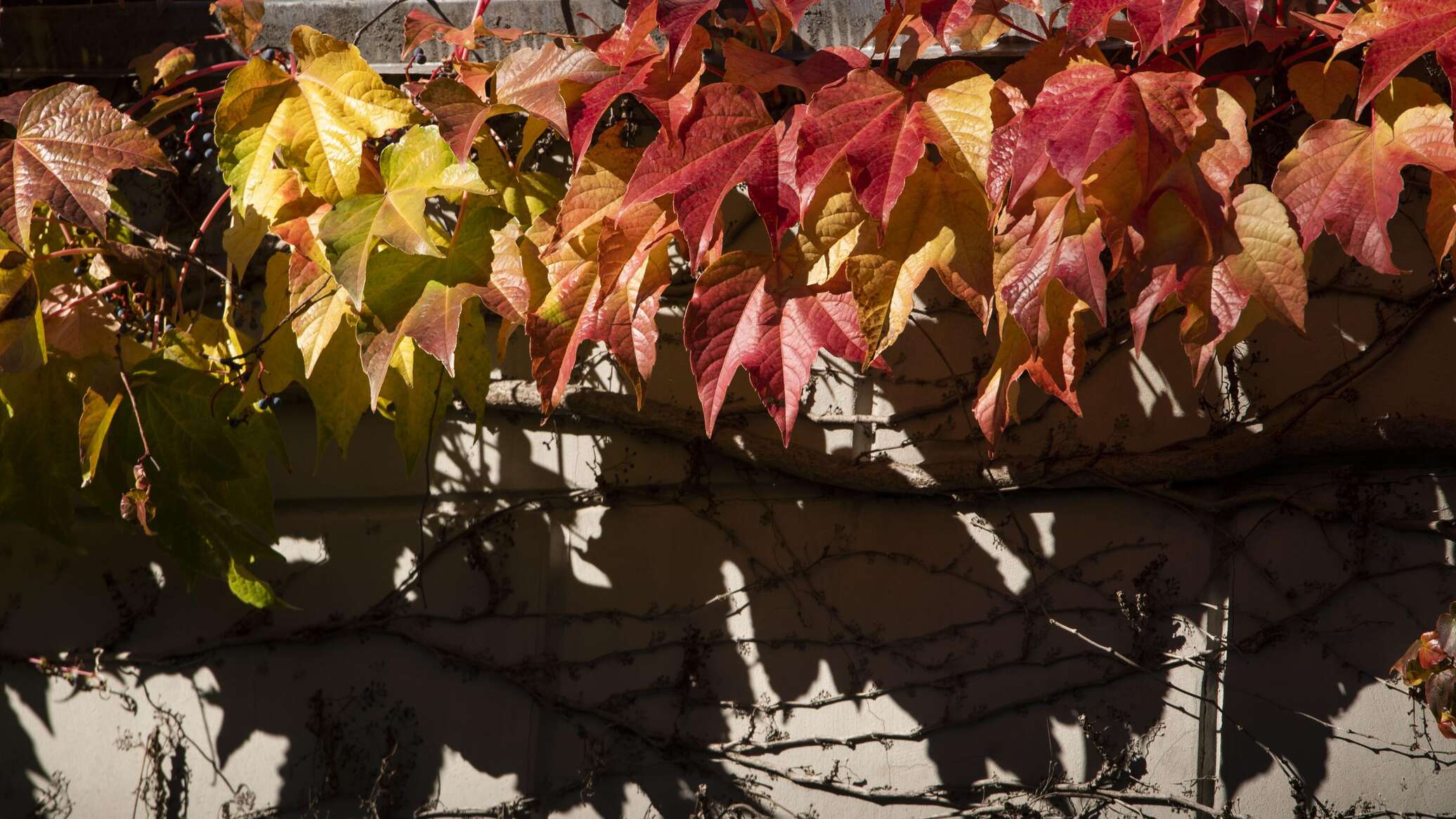 Погода в Крыму в первый день ноября