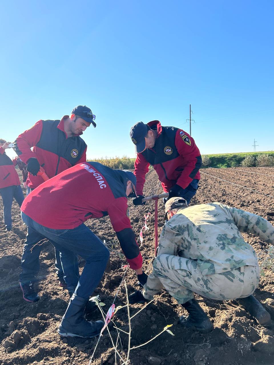 В Крыму стартовала акция «Сохраним лес» В Крыму стартовала акция «Сохраним лес»