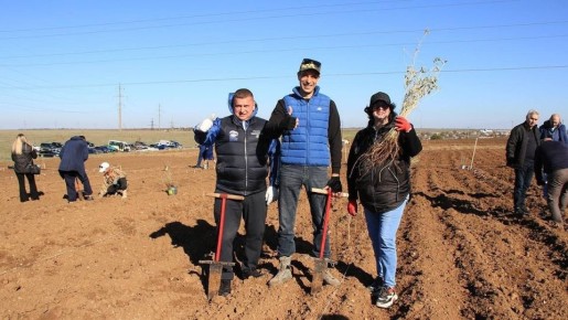 Около 11 тысяч деревьев высадили в Евпаторийском лесничестве