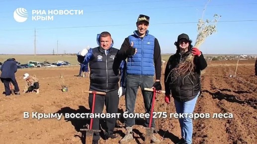 0 День с РИА Новости Крым