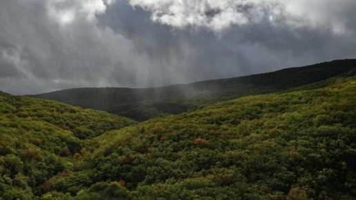 Сколько осадков выпало в Крыму в октябре и как они наполнили реки