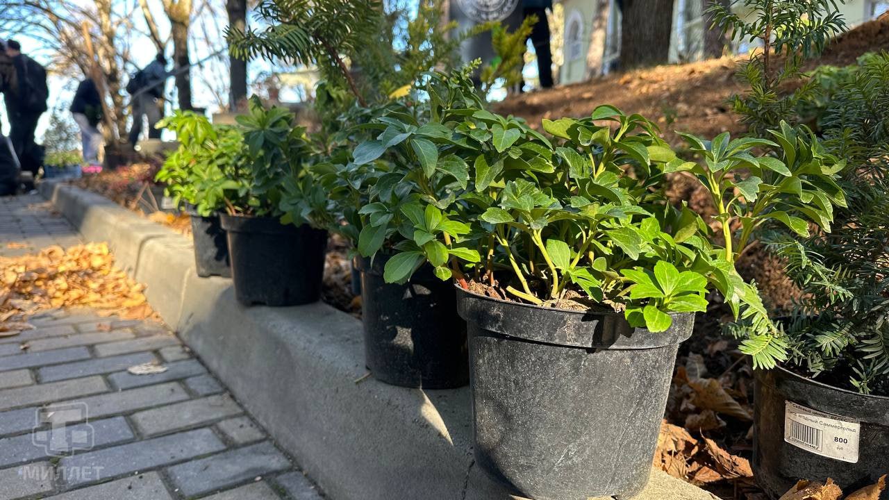 В Крыму стартовала акция «Чистый Крым» В Крыму стартовала акция «Чистый Крым»