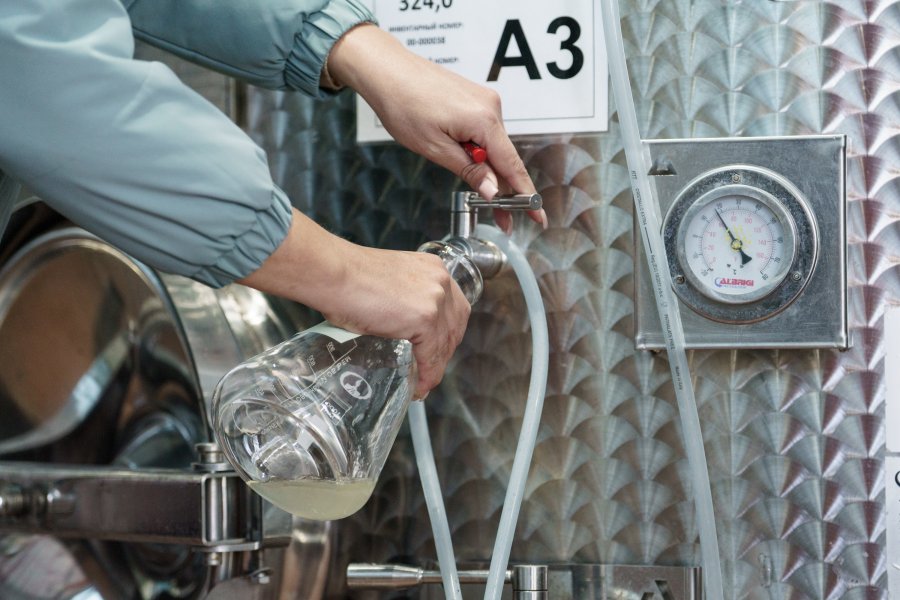 В Севастополе завершен сезон сбора винограда 2025: собрано 21 тысяча тонн урожая В Севастополе завершен сезон сбора винограда 2025: собрано 21 тысяча тонн урожая