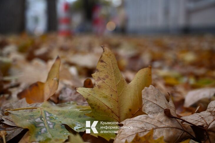 К концу длинных выходных в Крыму потеплеет на несколько градусов