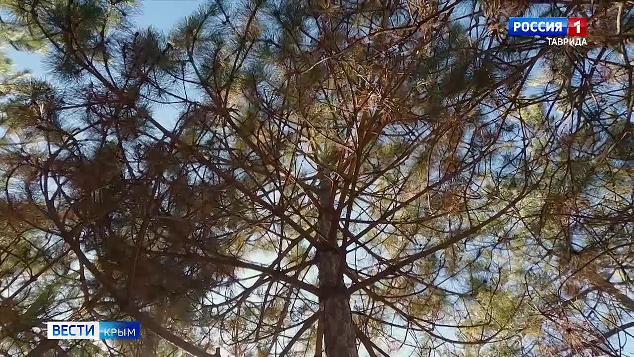 В Крыму стартовала юбилейная, десятая смена федерального проекта «Перезагрузка»