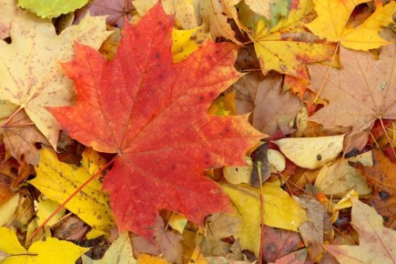 Доброе утро, Севастополь!. Погода на 2 ноября: • ясно