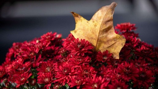 Температура воздуха опустится до нуля: погода в Крыму в воскресенье