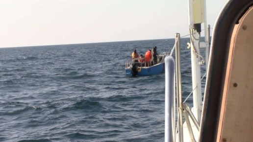 В Черное море больше не заходят иностранные браконьеры