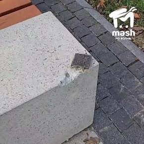 Варвары уничтожили человеко-пчёлок в Симферополе и украли фигурки