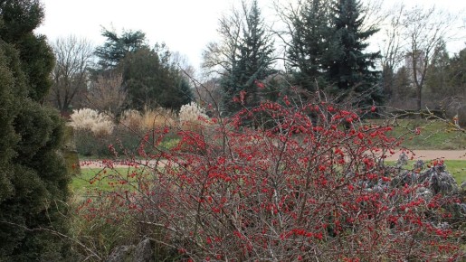 Погода на 4 ноября 2025 года в Крыму и Севастополе: воздух прогреется до 20 градусов