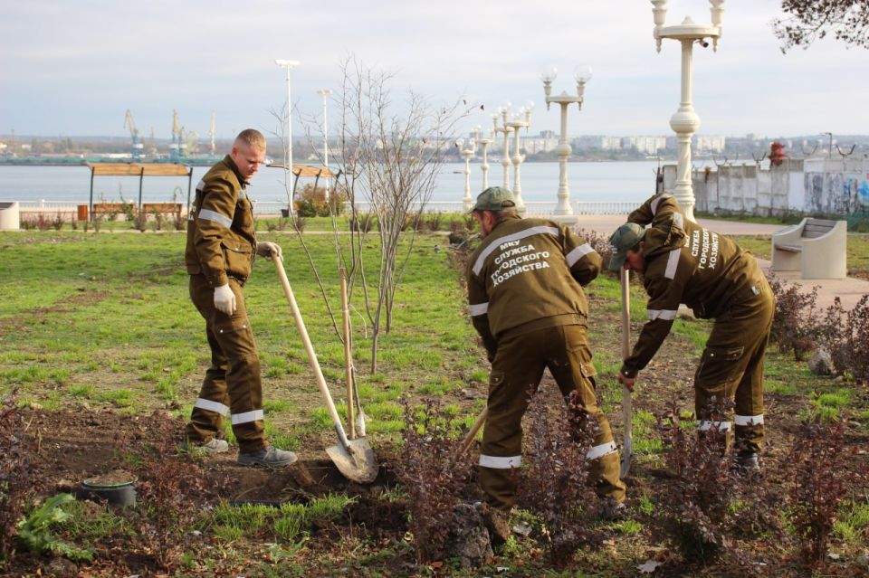 Олег Каторгин: Монтаж системы автоматического полива в сквере «Монетка» вышел на финальный этап Олег Каторгин: Монтаж системы автоматического полива в сквере «Монетка» вышел на финальный этап