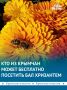 Бесплатно посетить Бал хризантем в Никитском ботсаду смогут пенсионеры 10 ноября