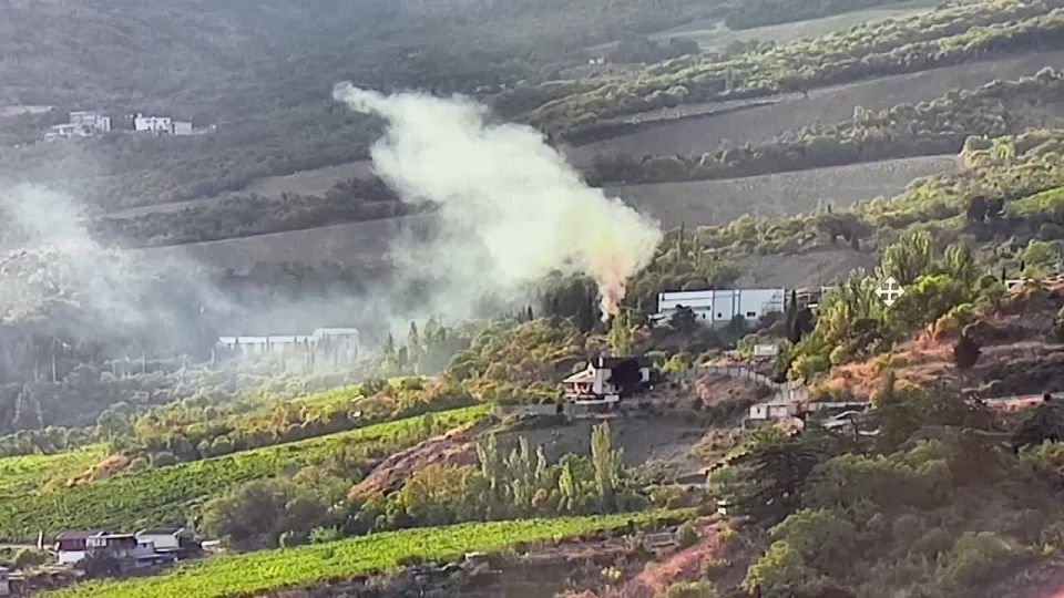 Янина Павленко: К борьбе с пожарами в Ялте подключен искусственный интеллект – уже 14 комплексов раннего обнаружения возгораний следят за природными зонами региона