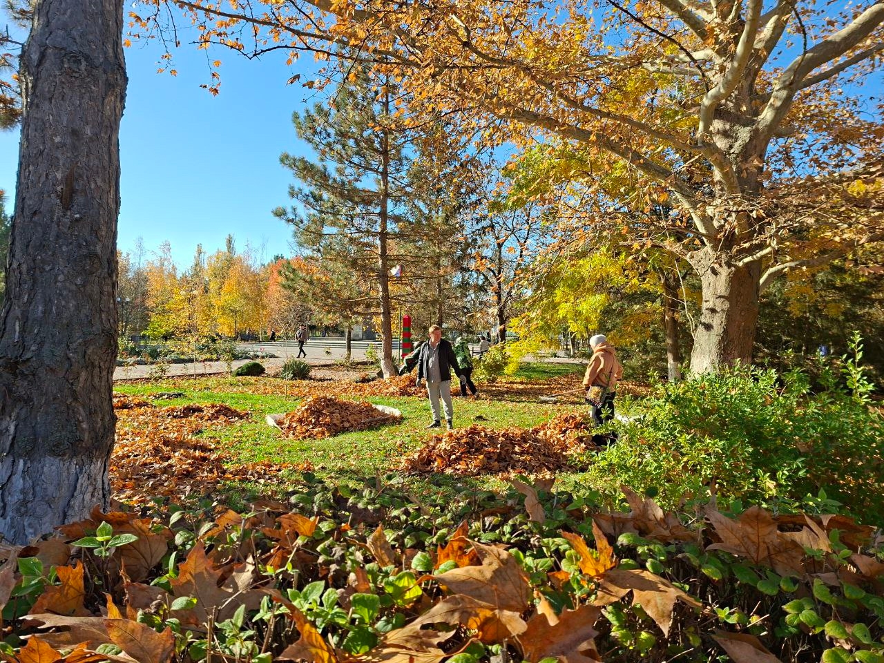 Субботник — это та добрая осенняя Акция, когда люди собираются вместе, чтобы навести порядок в своем районе Субботник — это та добрая осенняя Акция, когда люди собираются вместе, чтобы навести порядок в своем районе
