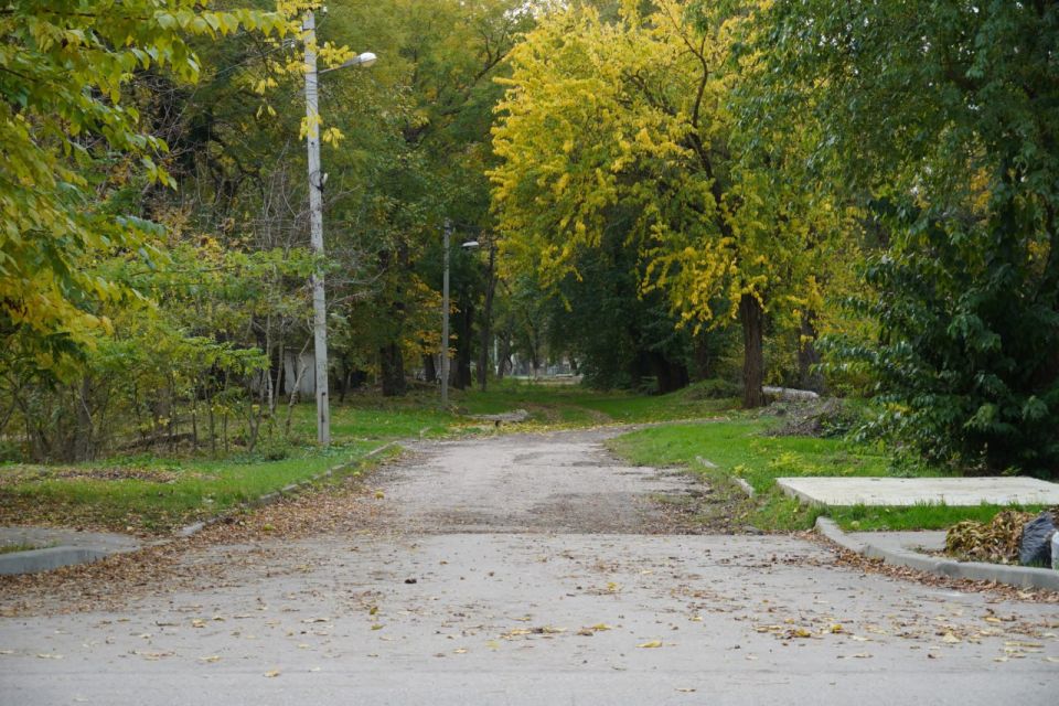  :  -    . .       ,        52 