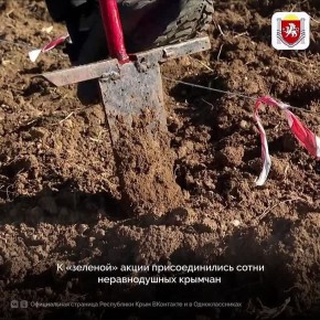 В Крыму стартовала акция «Сохраним лес»