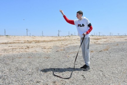 Увлечение хоббидогингом: новое развлечение или сигнал о психических проблемах