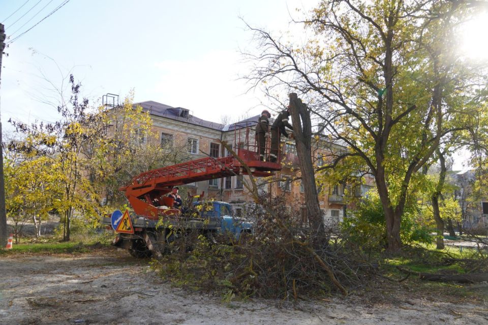  :      .  , 6/1, . , 5/2,  , 2/5,     