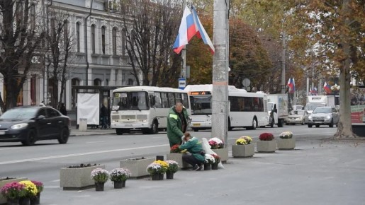 Более 200 кустов позднецветущих хризантем украсят главную площадь Симферополя