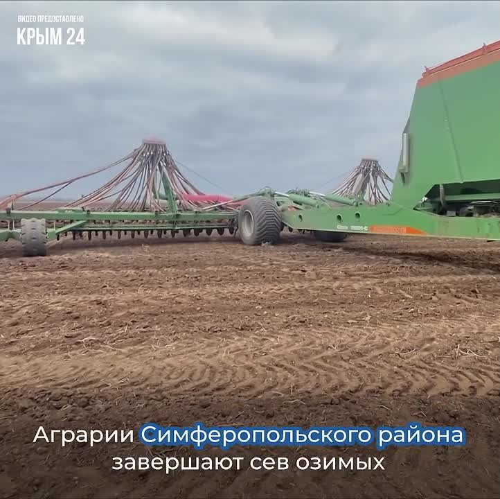 В Крыму завершается посевная кампания озимых