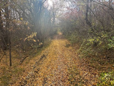 Бархатный ноябрь за порогом Симферополя