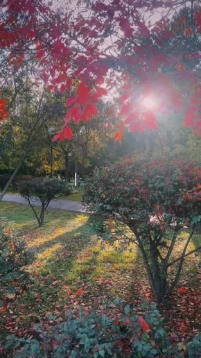 Осень по-своему украшает Евпаторию, даря ей особое очарование