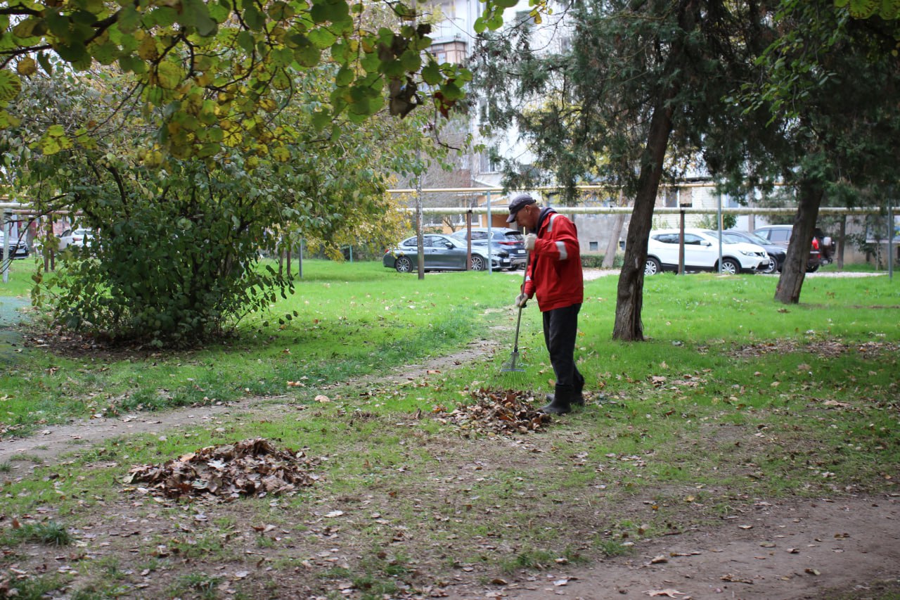 Олег Каторгин: От 70 до 120 мешков листвы Олег Каторгин: От 70 до 120 мешков листвы