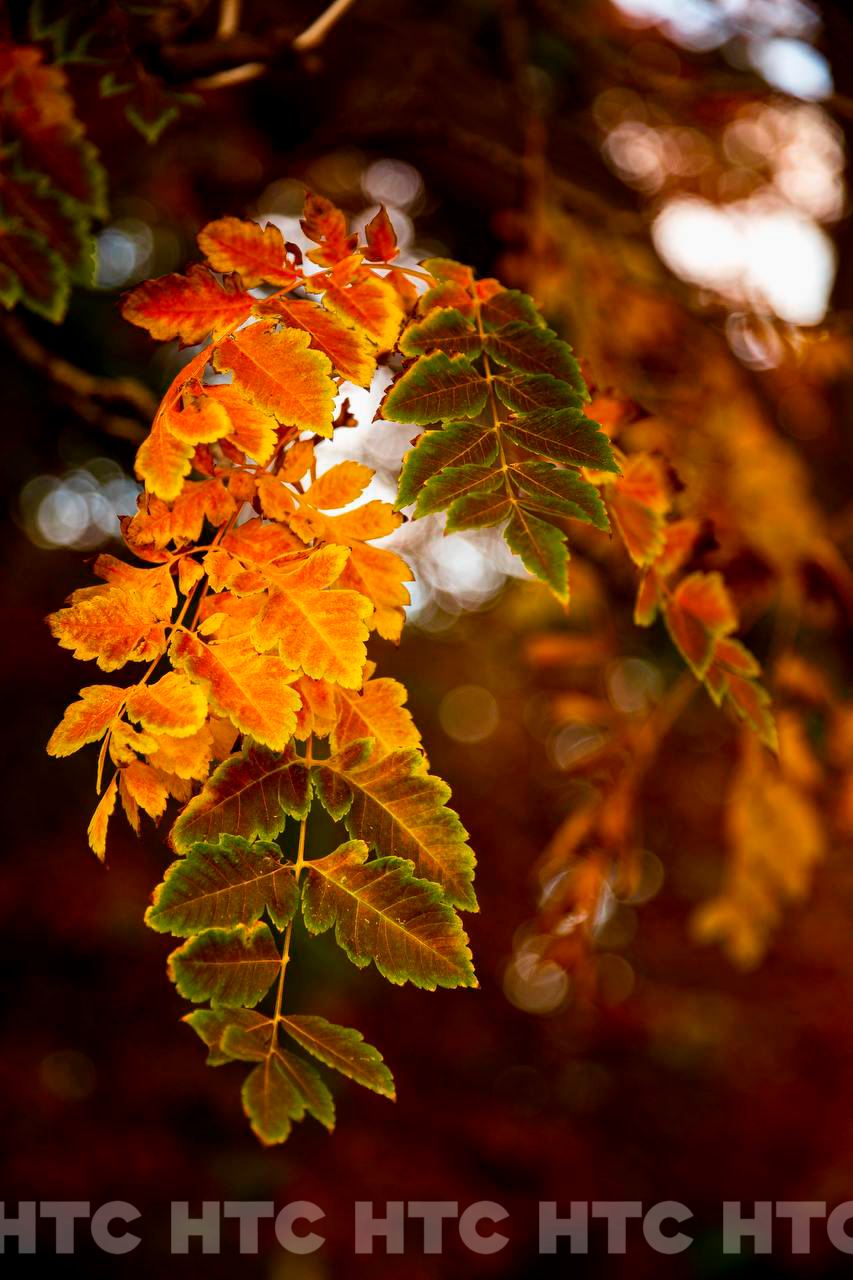 Ноябрь без шапки: как выглядит Севастополь, пока в Сибири уже идёт снег Ноябрь без шапки: как выглядит Севастополь, пока в Сибири уже идёт снег