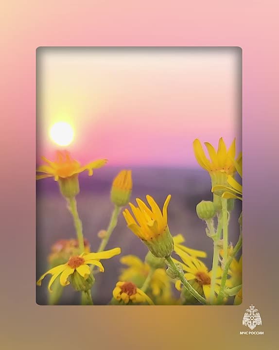 О погоде на полуострове. переменная облачность