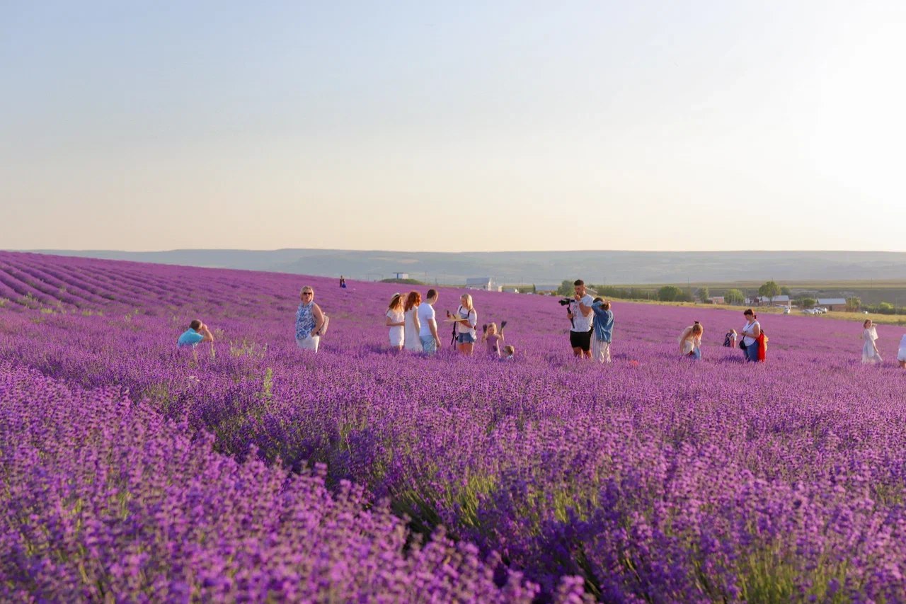 4 проекта из Крыма вошли в финал XIV Международной премии Russian Event Awards 4 проекта из Крыма вошли в финал XIV Международной премии Russian Event Awards