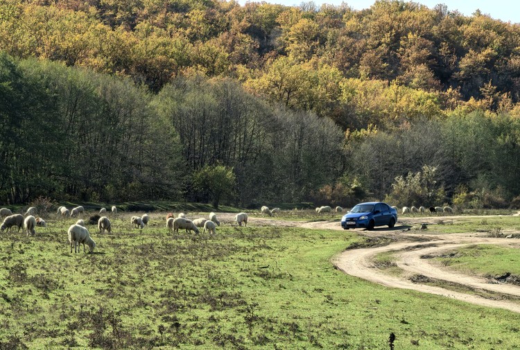 Цена асфальта: во сколько Крыму обойдется «дорожная революция» Цена асфальта: во сколько Крыму обойдется «дорожная революция»