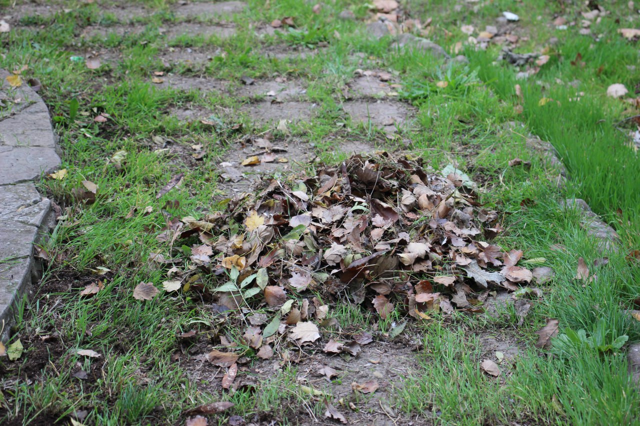 Олег Каторгин: От 70 до 120 мешков листвы Олег Каторгин: От 70 до 120 мешков листвы